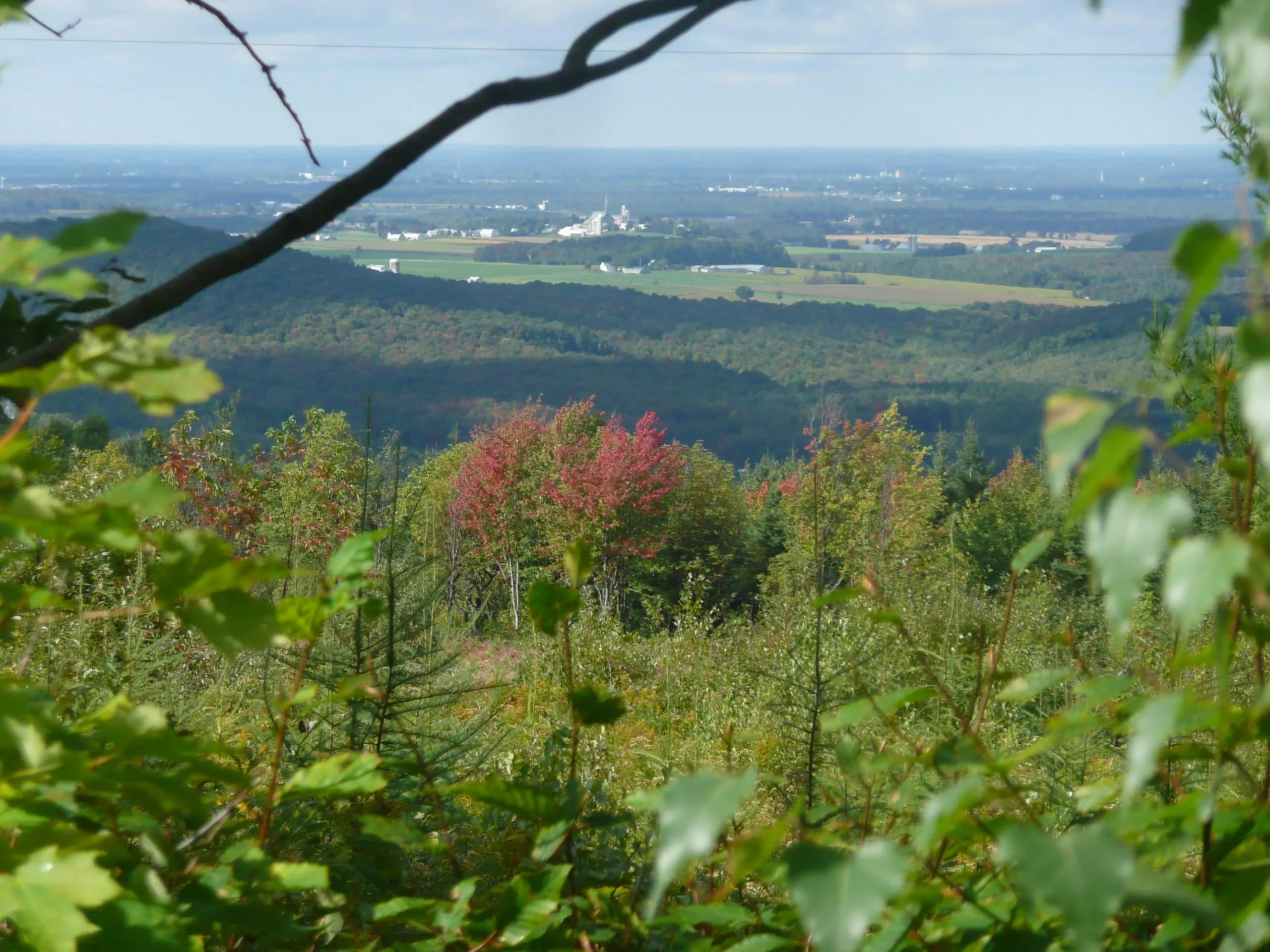Vue sur un boisé privé et la vallée en arrière-plan
