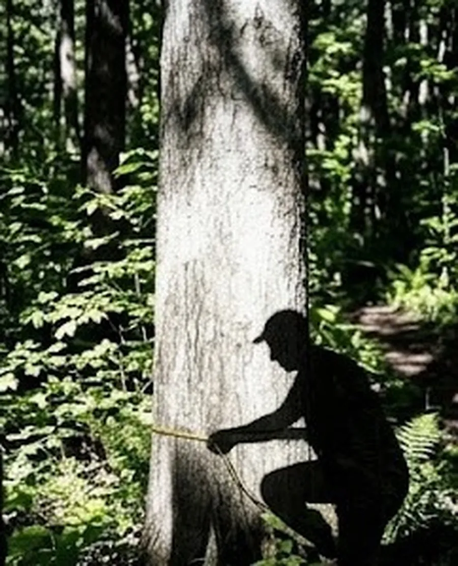 Portrait de Christian Dumont, technicien forestier chez CFRQ