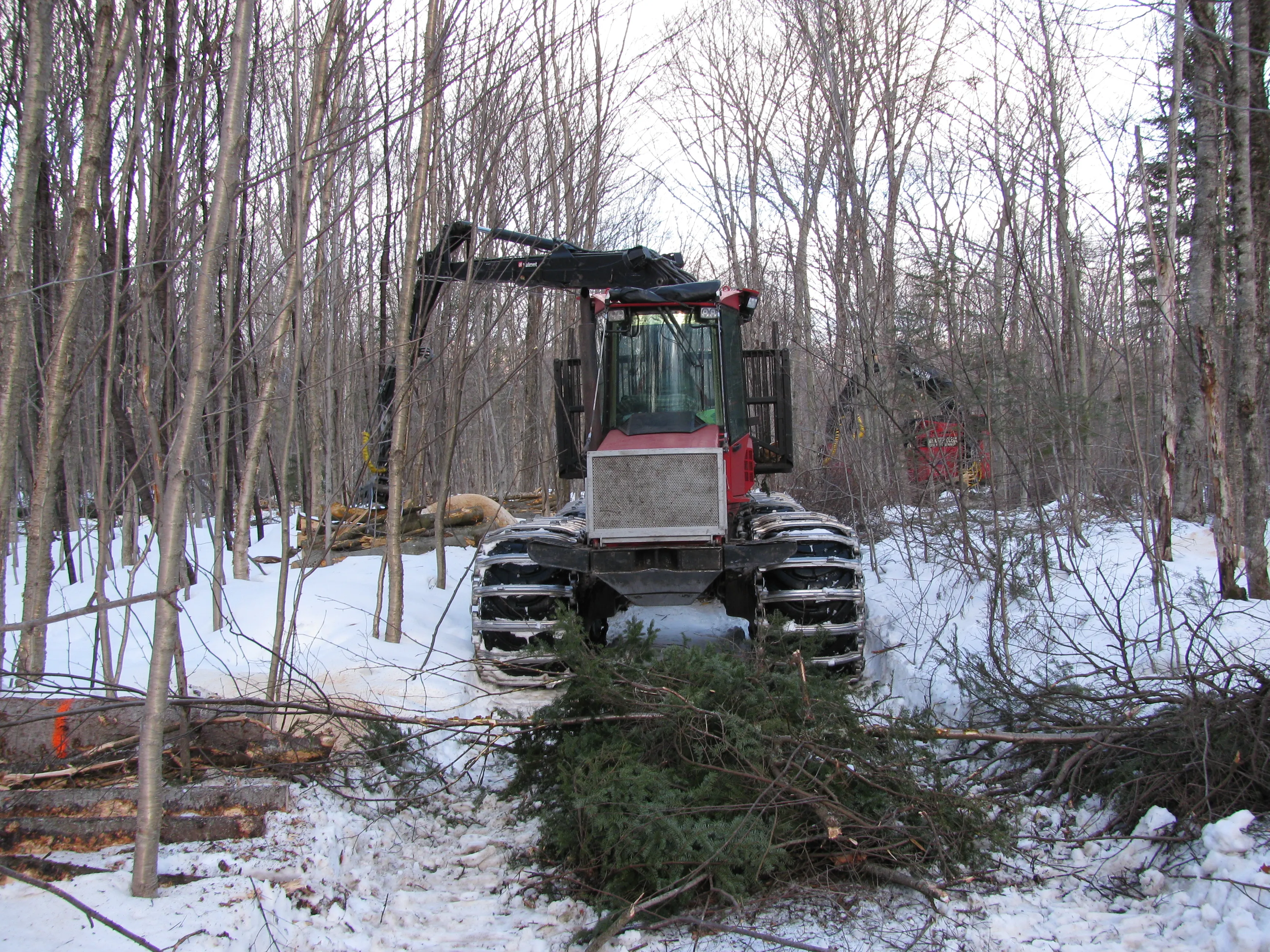 Porteur forestier sur un chantier de récolte en hiver